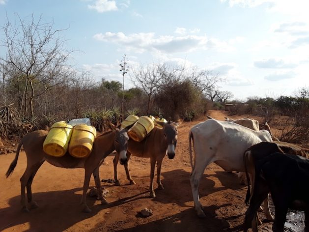 The severity and frequency of droughts floods and storms will increase leading to more water stress. Marginalised communities will cover long distances in search of water. Photo Joyce Chimbi